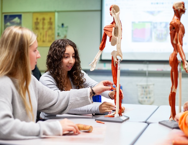 two female students studying anatomy using a figurine